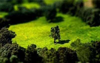 Tilt Shift efektu sinestezina