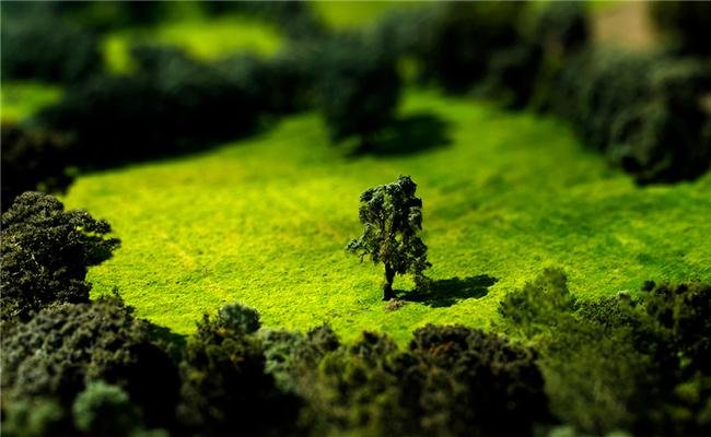 Tilt Shift efektu sinestezina